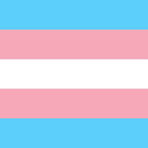 Statement in support of Trans young people in relations to hormone blockers news article