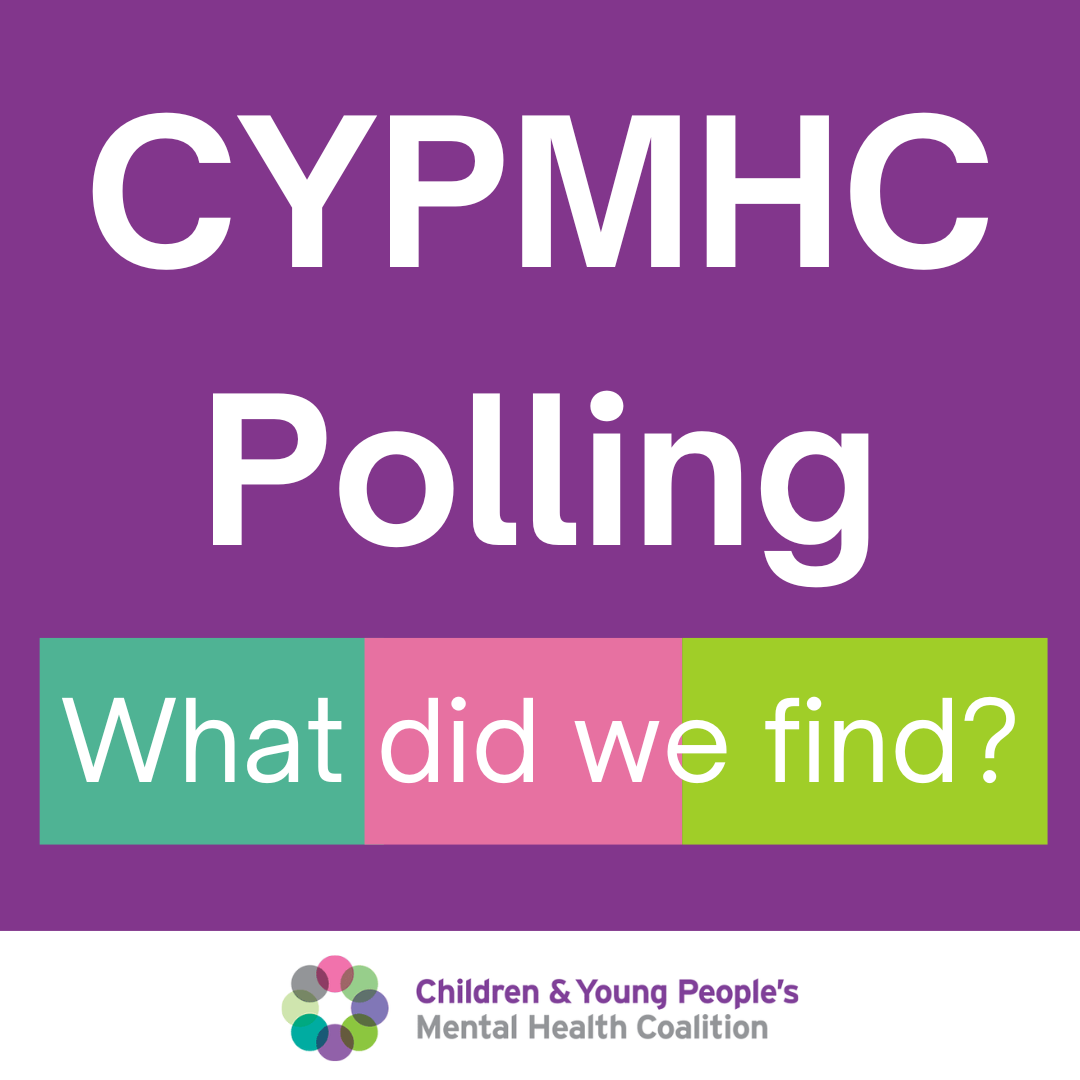 CYPMHC general election polling findings news article